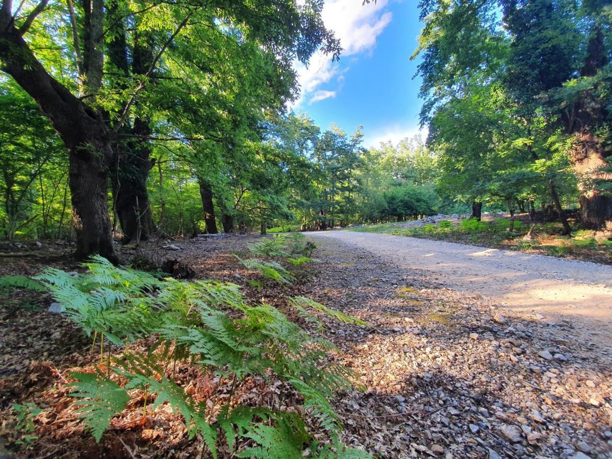 Stone House Rosuja Villa Ivanje Dış mekan fotoğraf